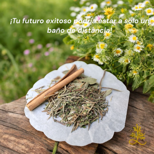Fortuna Brillante