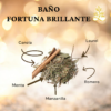 Fortuna Brillante
