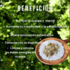 Limpieza Energética
